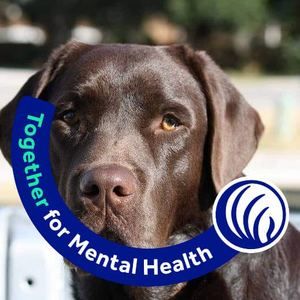 Meet your Posher, Beverly